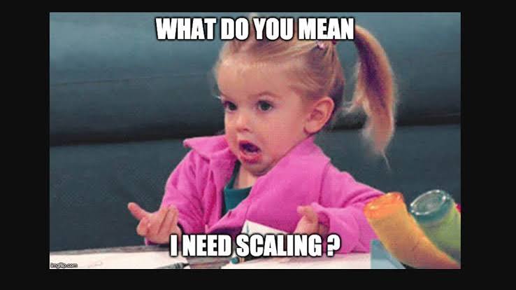 Meme de uma criança confusa com as mãos abertas e a legenda "como assim eu preciso de scaling?"